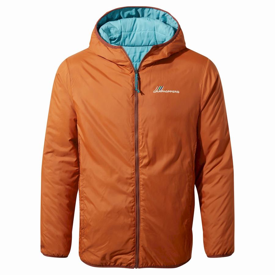 Blue Craghoppers Cameo CompressLite Hooded Men's Jackets | HWZ1793VH