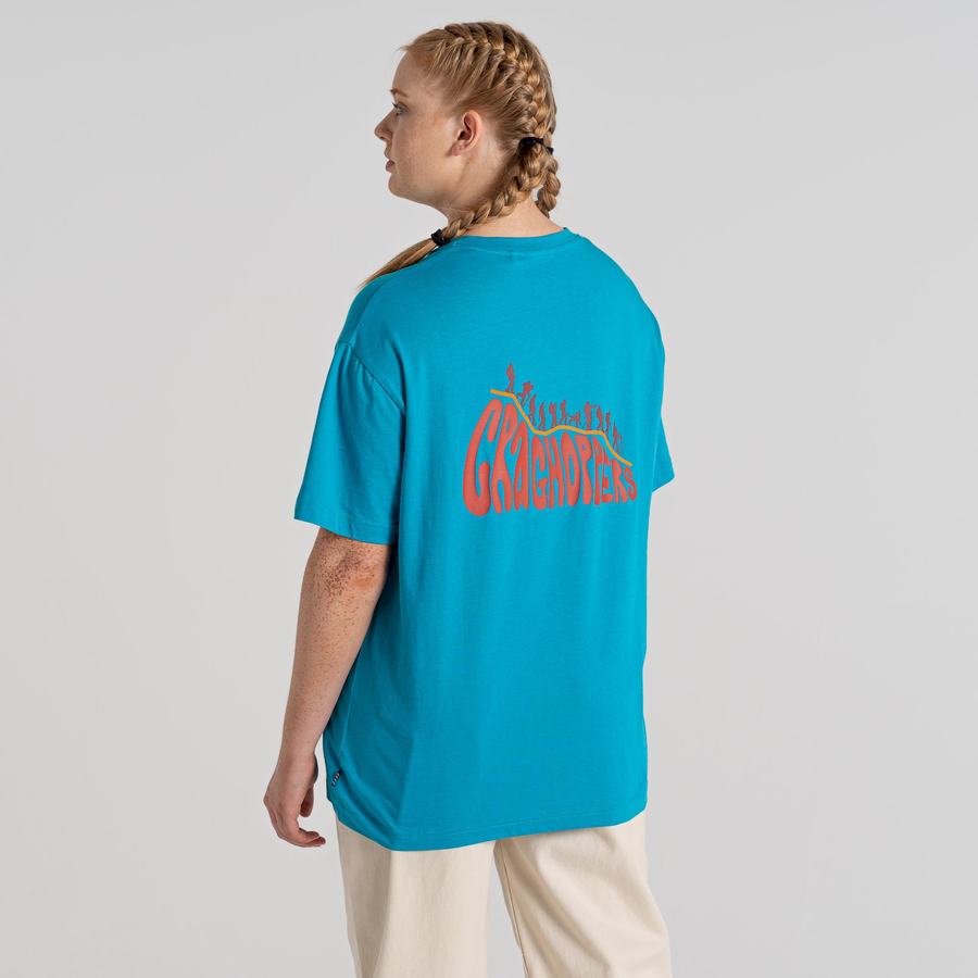 Blue Craghoppers Crosby Short Sleeved Men's T-Shirts | PTQ850EE