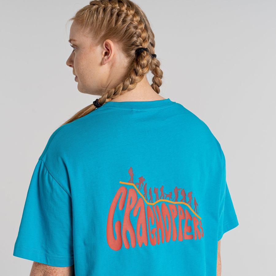 Blue Craghoppers Crosby Short Sleeved Men's T-Shirts | PTQ850EE