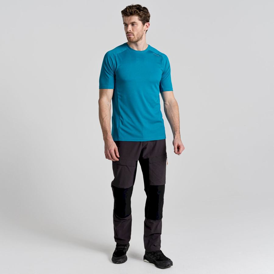 Blue Craghoppers Dynamic Pro Short Sleeved Men's T-Shirts | UPK9524LY