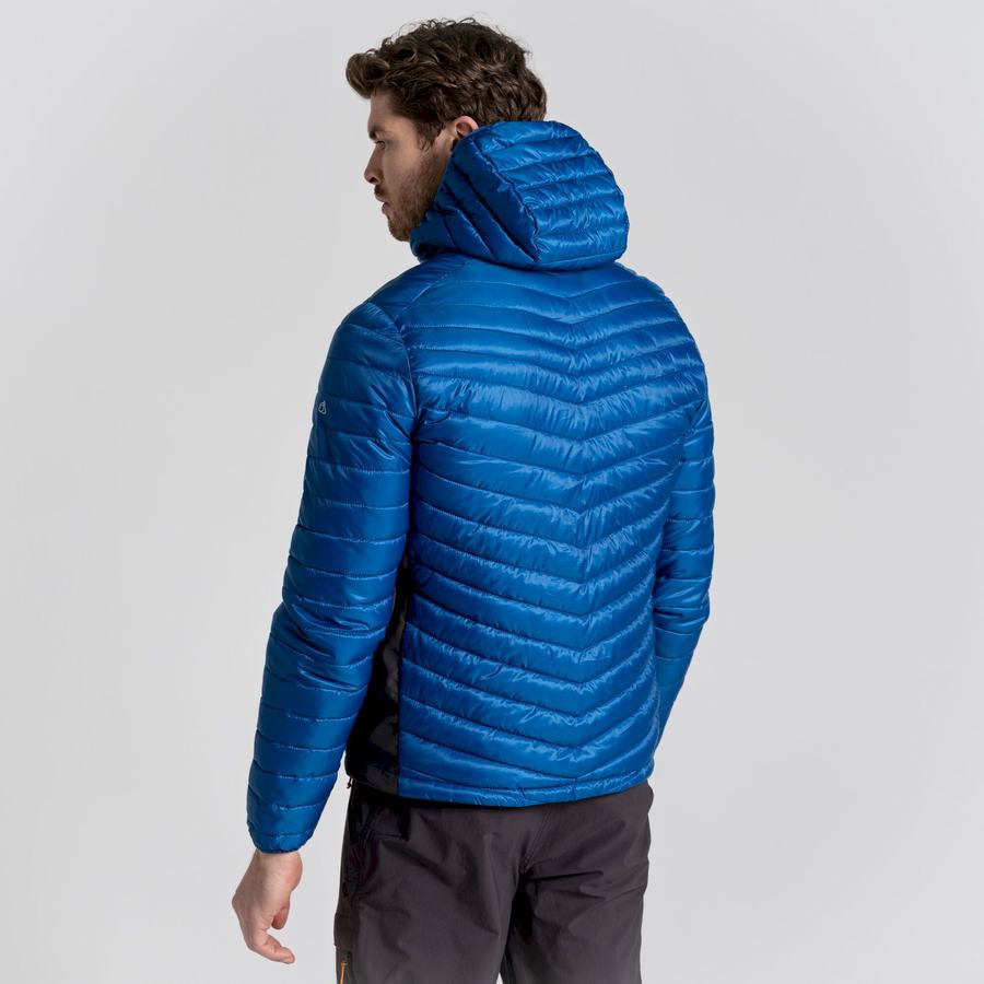 Blue Craghoppers ExpoLite Insulated Hooded Men's Jackets | MDZ4337DD