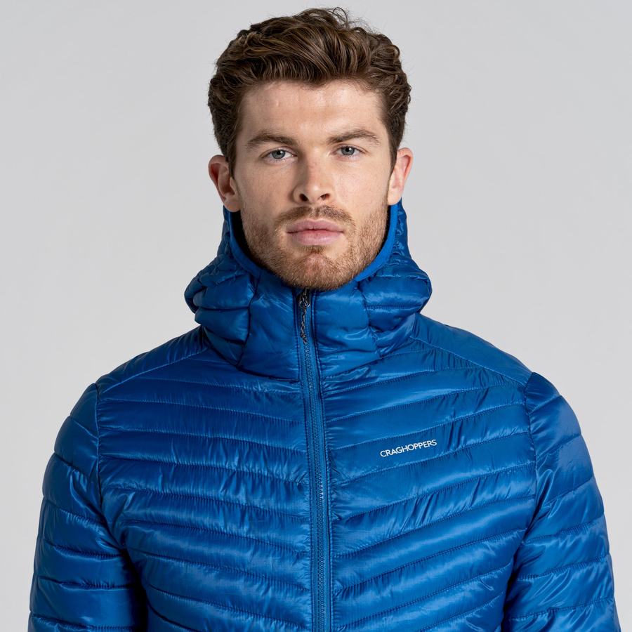 Blue Craghoppers ExpoLite Insulated Hooded Men's Jackets | MDZ4337DD