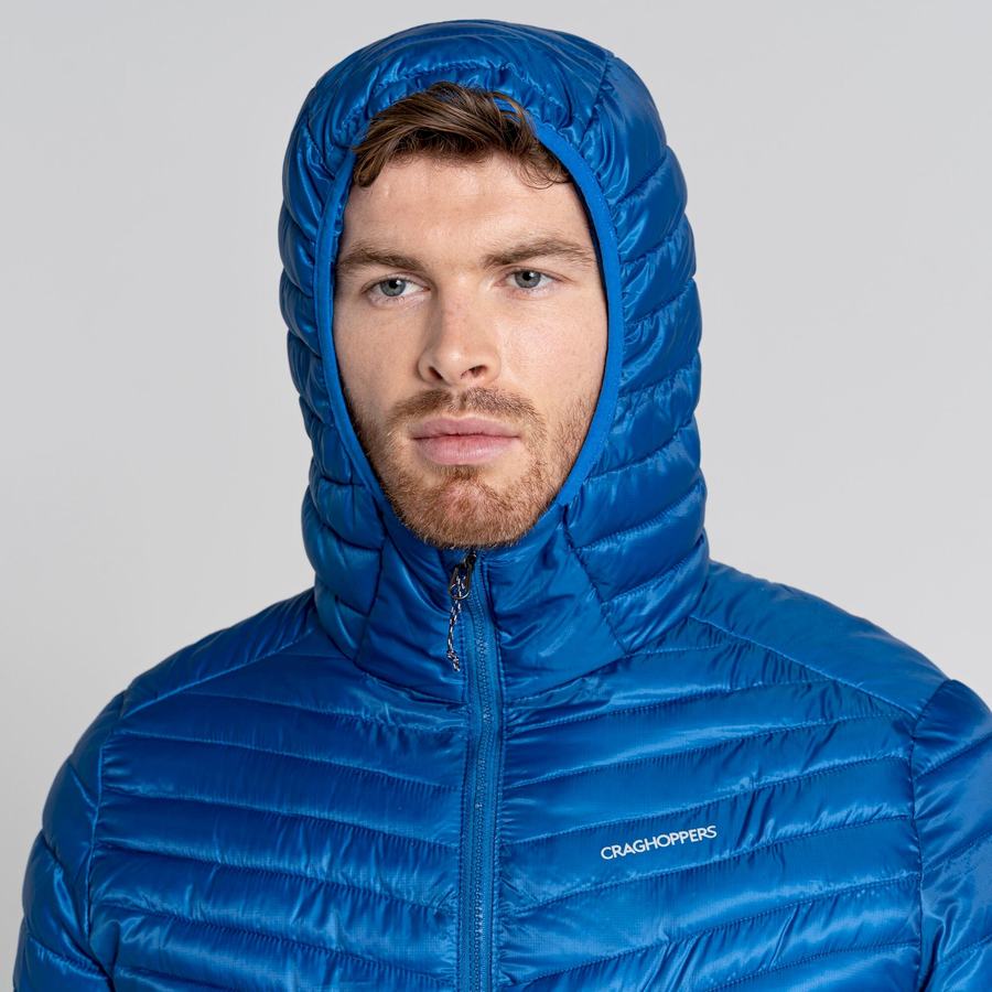 Blue Craghoppers ExpoLite Insulated Hooded Men's Jackets | MDZ4337DD