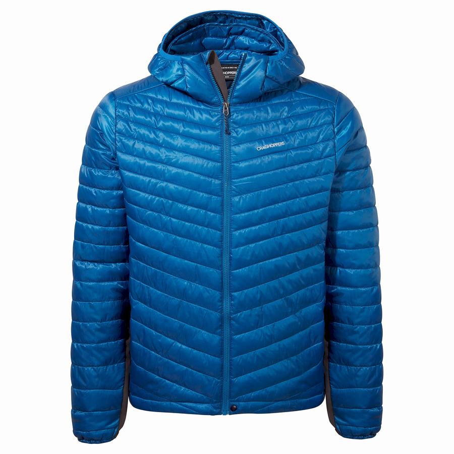 Blue Craghoppers ExpoLite Insulated Hooded Men\'s Jackets | MDZ4337DD