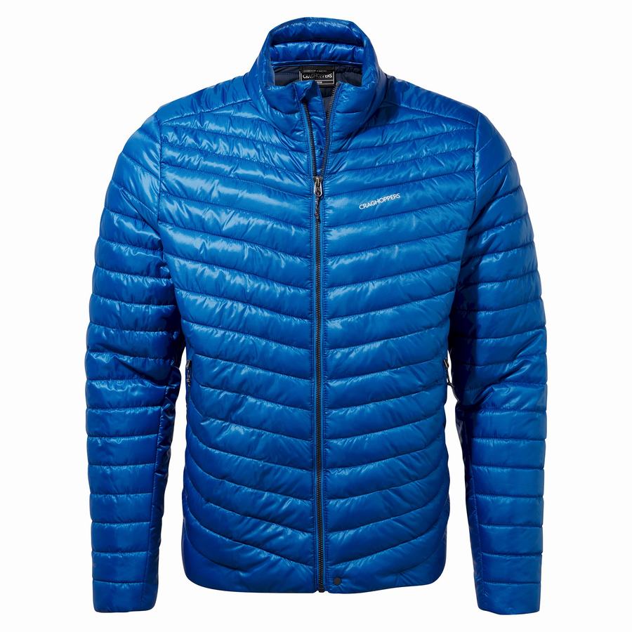 Blue Craghoppers Insulated ExpoLite Men's Jackets | DPS7999MK