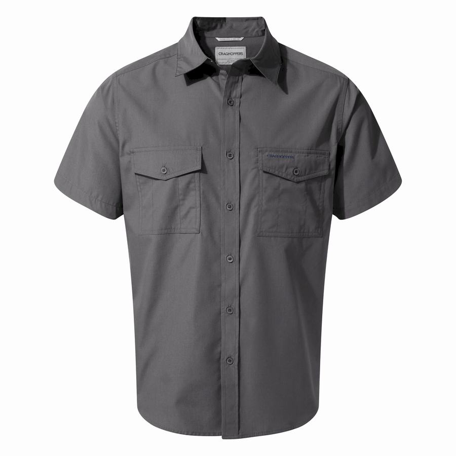 Blue Craghoppers Kiwi Short Sleeved Men's Shirts | QFD963TB