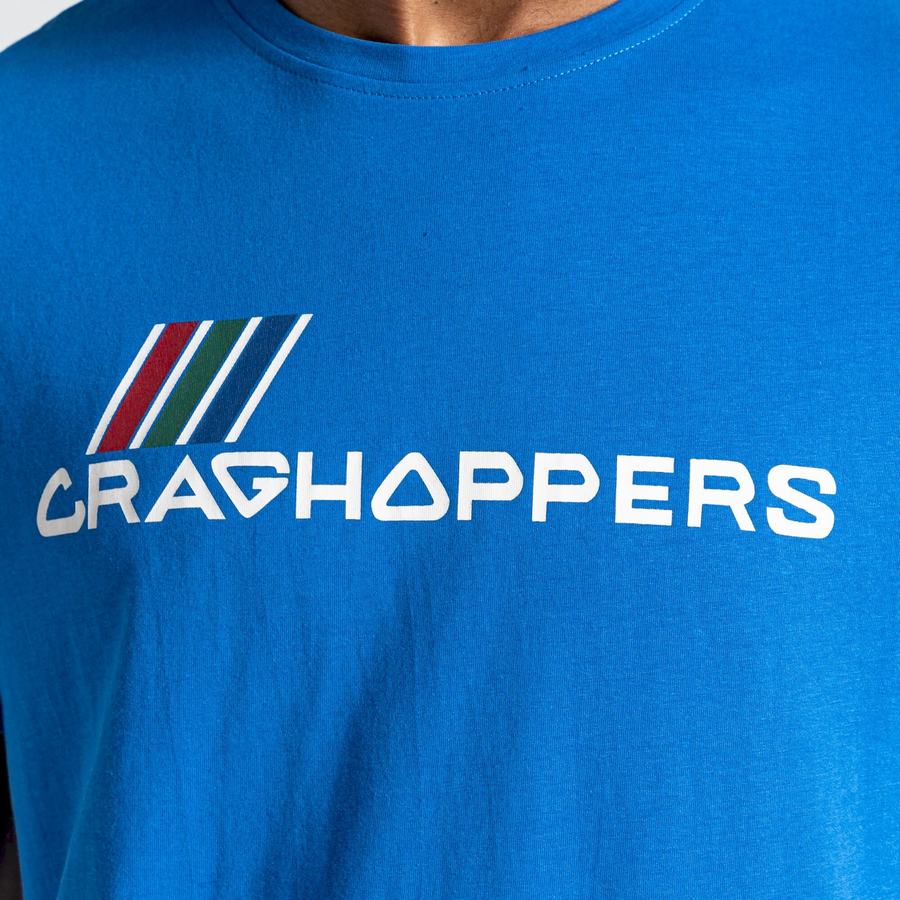 Blue Craghoppers Lugo Short Sleeved Men's T-Shirts | KDM7041GT