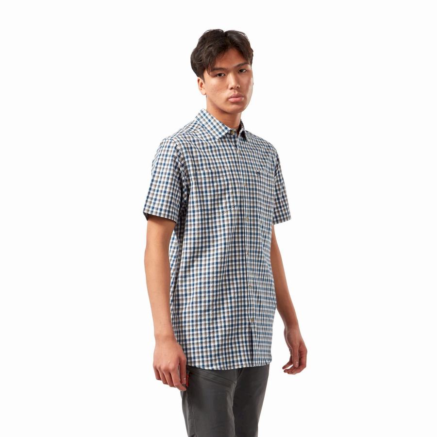 Blue Navy Craghoppers Nour Short Sleeved Check Men's Shirts | AOD9131ES