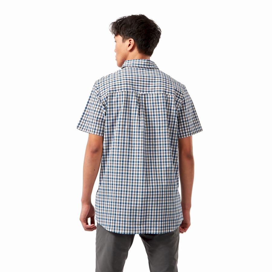 Blue Navy Craghoppers Nour Short Sleeved Check Men's Shirts | AOD9131ES