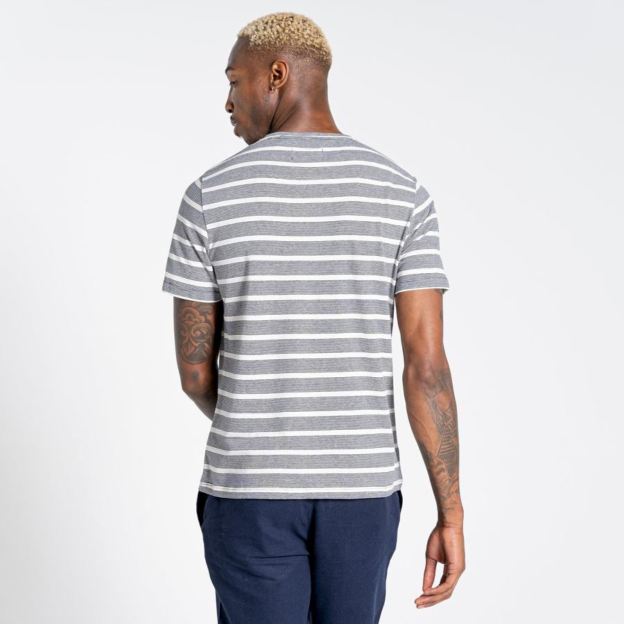 Blue Navy Stripes Craghoppers Nosibotanical Sten Short Sleeved Men's T-Shirts | MPK3860WW