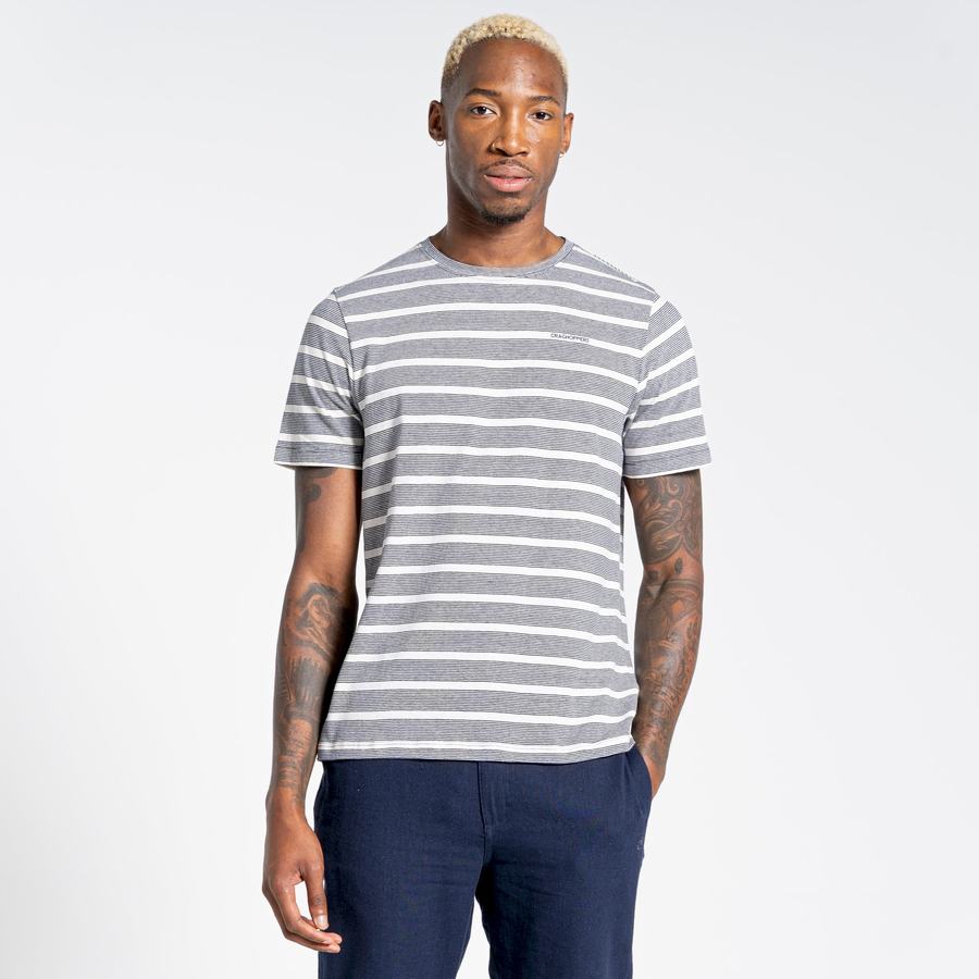 Blue Navy Stripes Craghoppers Nosibotanical Sten Short Sleeved Men's T-Shirts | MPK3860WW