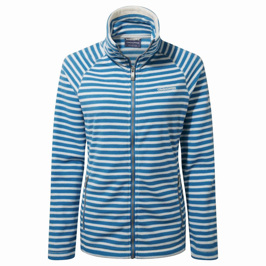 Blue Stripes Craghoppers Natalia Women's Sweaters | BNJ854BM