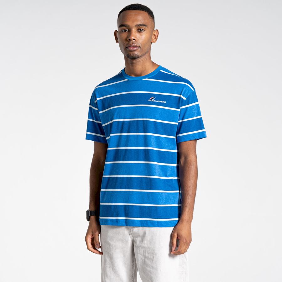 Blue Stripes Craghoppers Ventura Short Sleeved Men's T-Shirts | XRX76MY