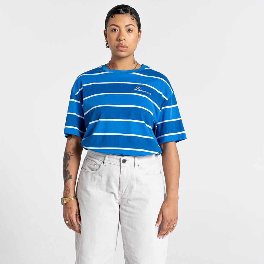 Blue Stripes Craghoppers Ventura Short Sleeved Men's T-Shirts | XRX76MY