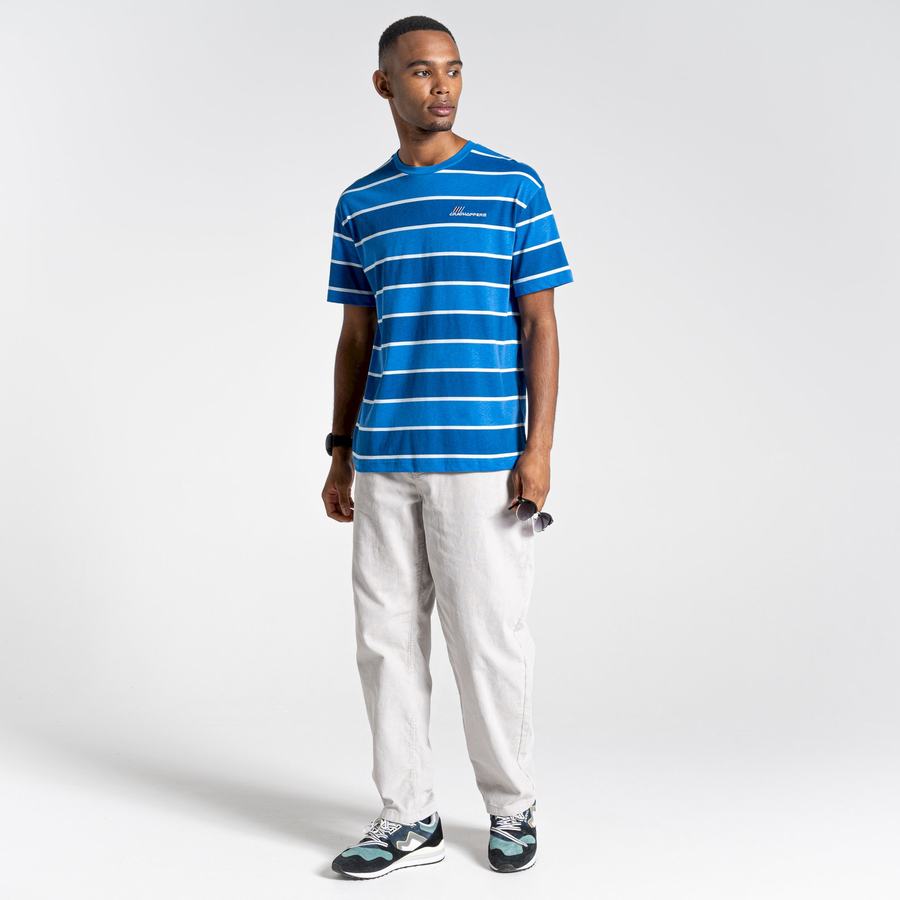 Blue Stripes Craghoppers Ventura Short Sleeved Men's T-Shirts | XRX76MY