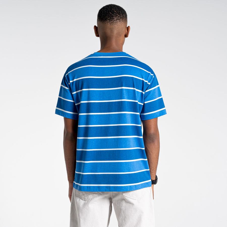 Blue Stripes Craghoppers Ventura Short Sleeved Men's T-Shirts | XRX76MY