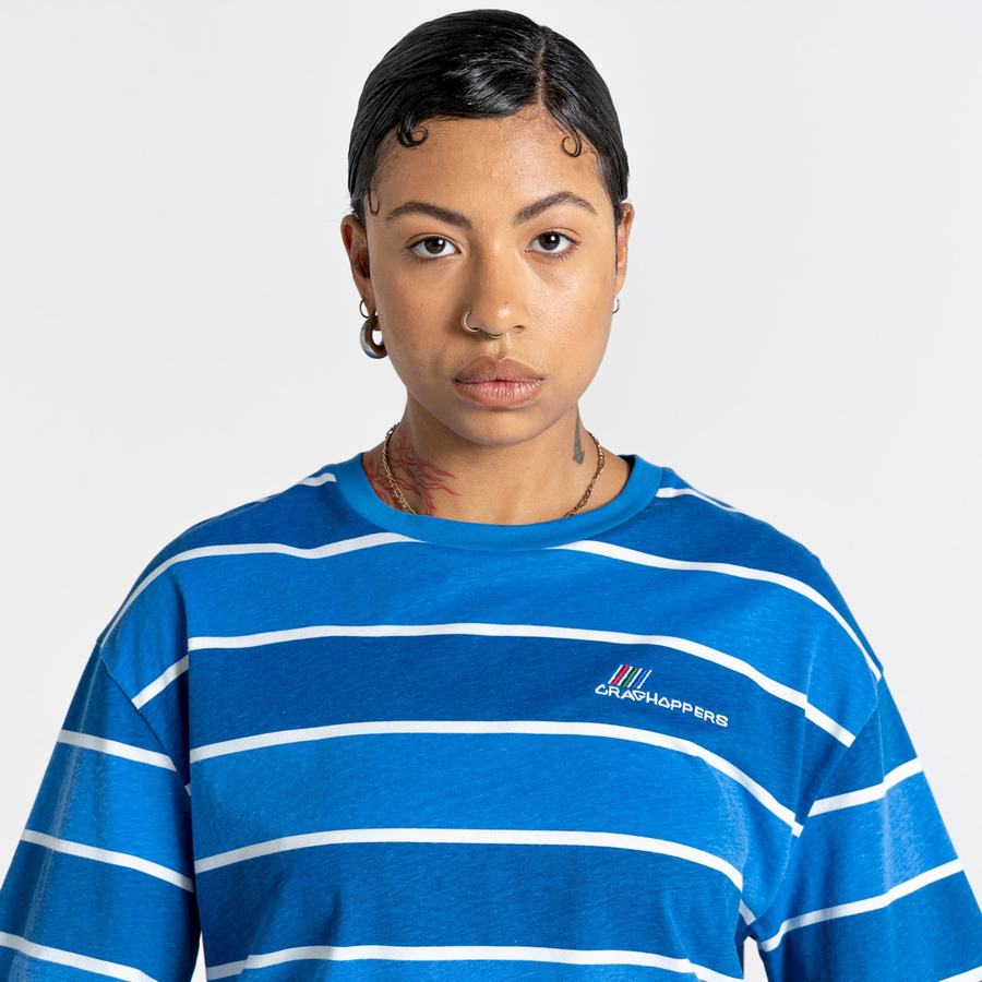 Blue Stripes Craghoppers Ventura Short Sleeved Men's T-Shirts | XRX76MY