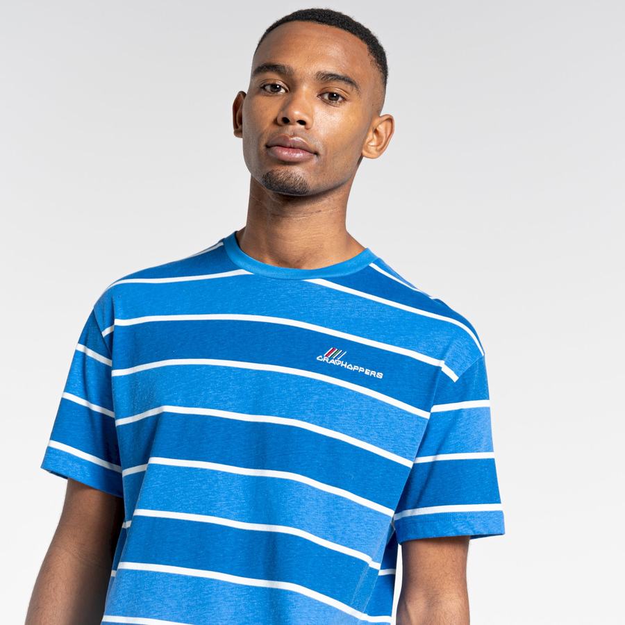 Blue Stripes Craghoppers Ventura Short Sleeved Men's T-Shirts | XRX76MY