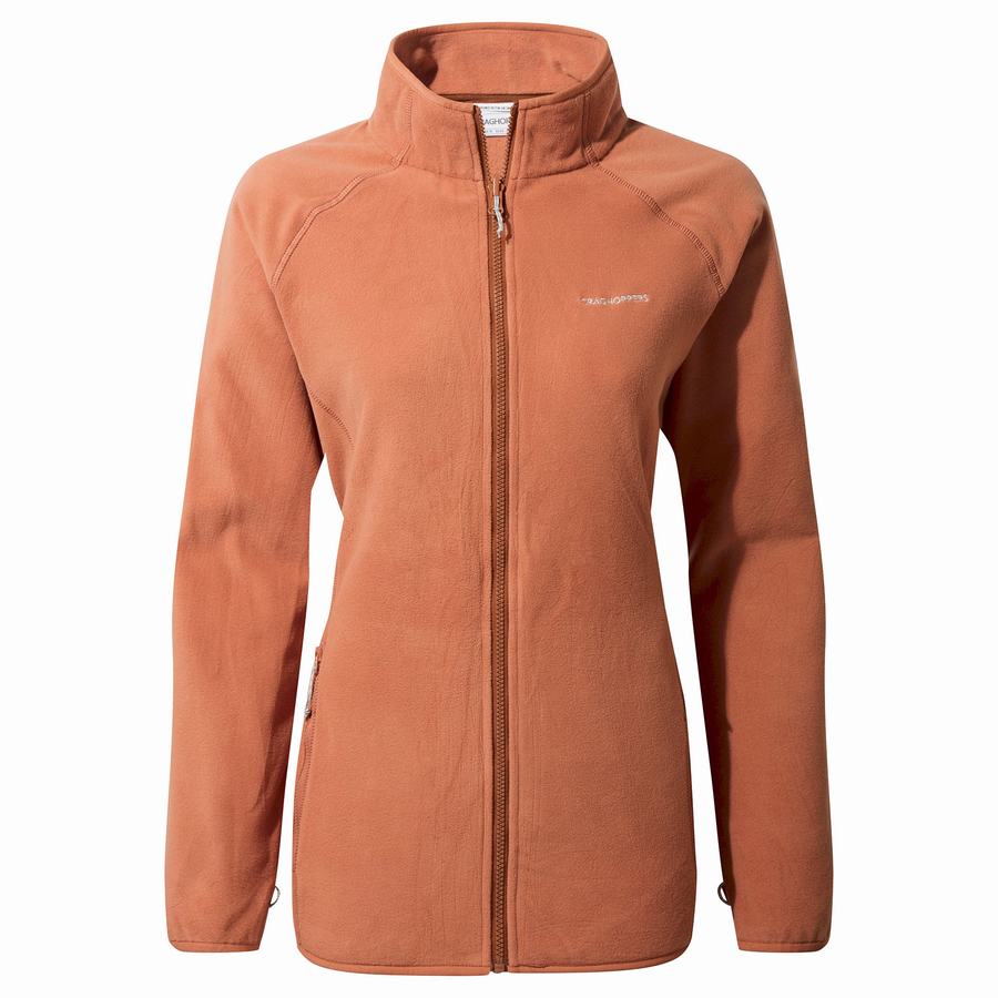 Brown Craghoppers 3 In 1 Women's Jackets | QLC7337BJ