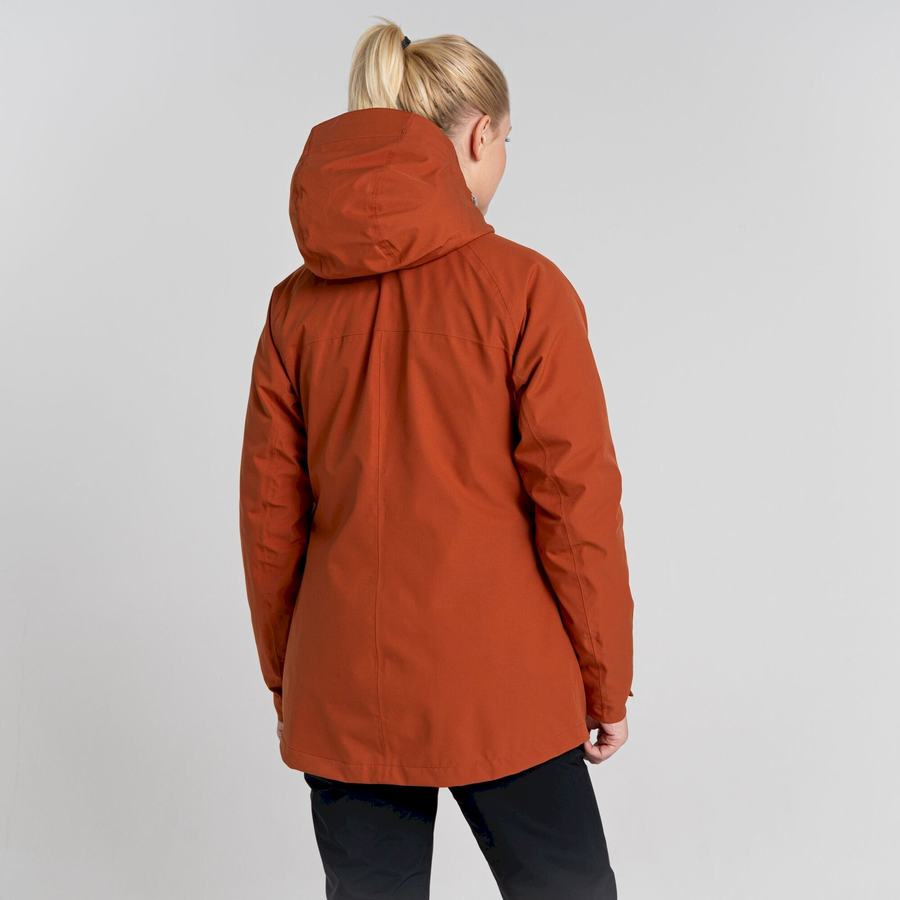 Brown Craghoppers 3 In 1 Women's Jackets | QLC7337BJ