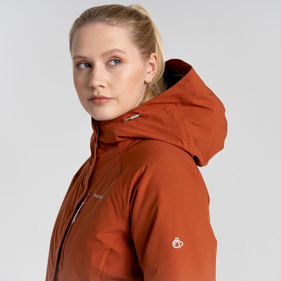 Brown Craghoppers 3 In 1 Women's Jackets | QLC7337BJ