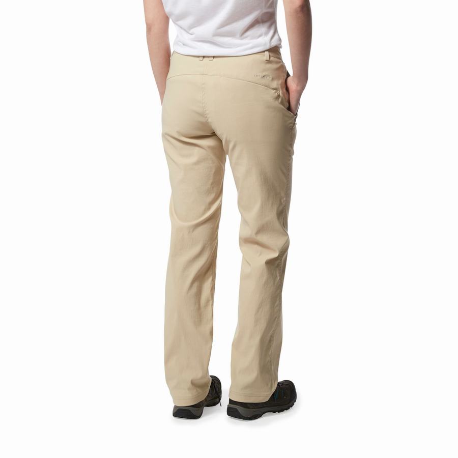 Brown Craghoppers Kiwi Pro II Women's Trousers | ADA5547ZP