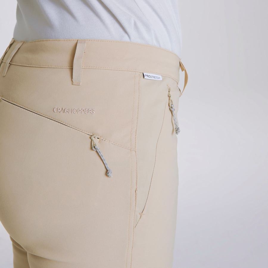 Brown Craghoppers Kiwi Pro II Women's Trousers | NHS8552LD