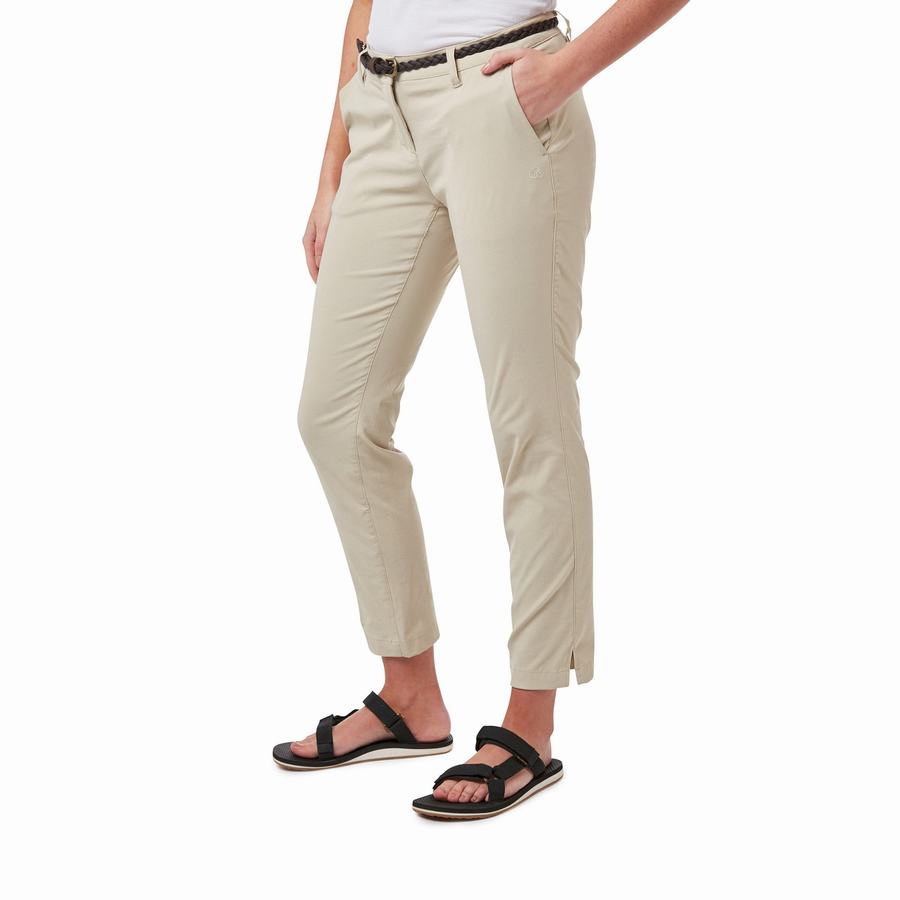 Brown Craghoppers NosiLife Briar Women\'s Trousers | ING7129QZ