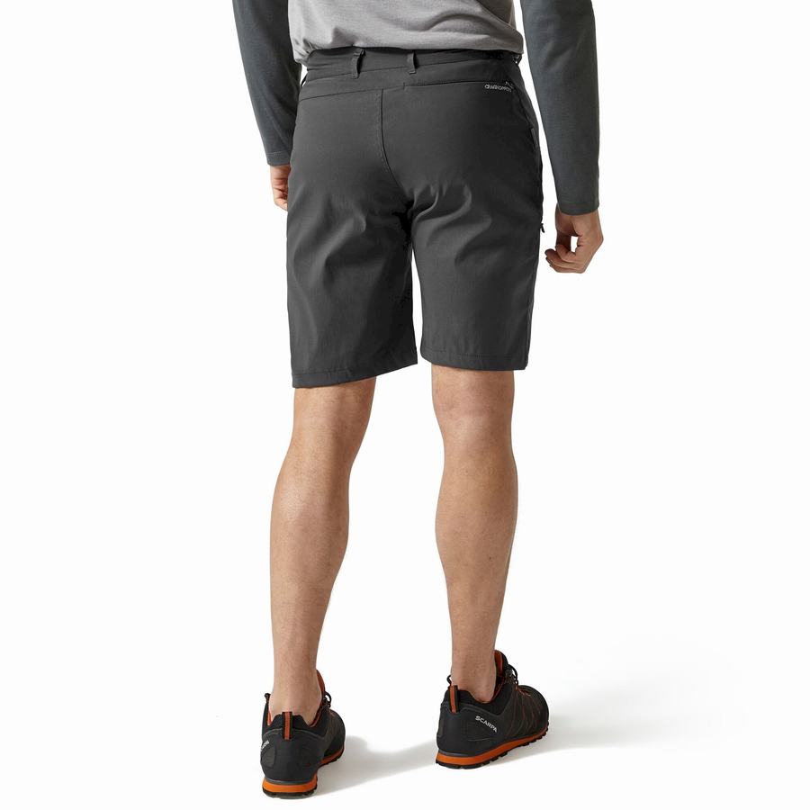 Dark Grey Craghoppers Kiwi Pro Men's Shorts | ECG974EY