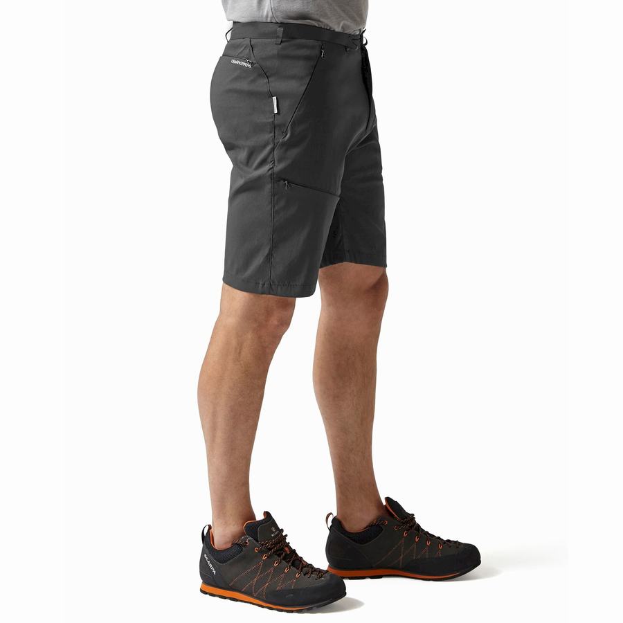 Dark Grey Craghoppers Kiwi Pro Men's Shorts | ECG974EY