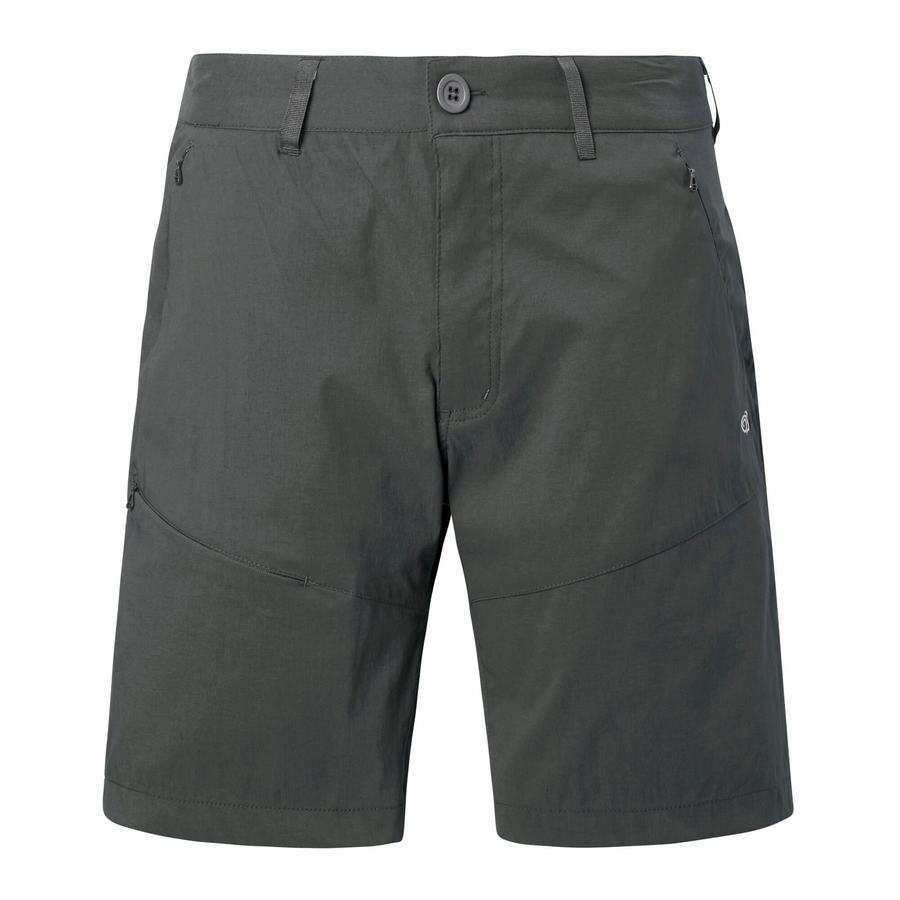 Dark Grey Craghoppers Kiwi Pro Men's Shorts | ECG974EY