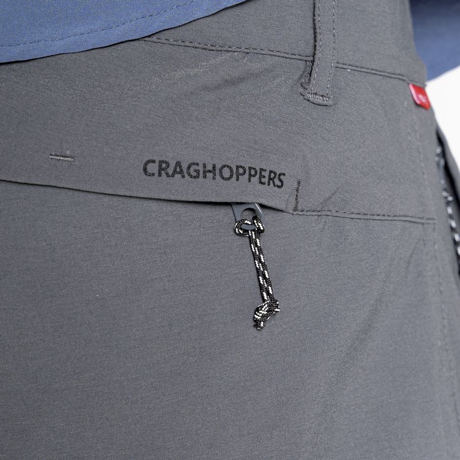 Dark Grey Craghoppers NosiLife Pro Active Men's Trousers | SHE3280YY