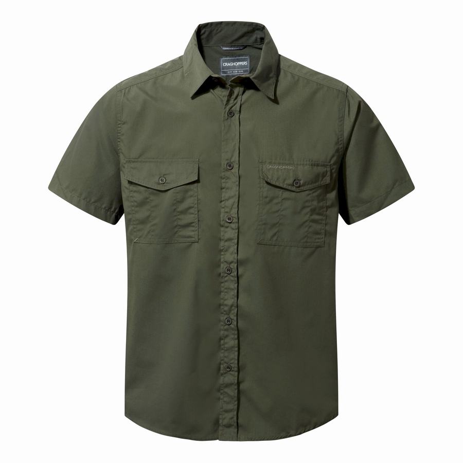 Deep Green Craghoppers Kiwi Short Sleeved Men's Shirts | CBX5185SB