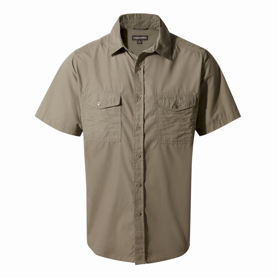 Deep Green Craghoppers Kiwi Short Sleeved Men\'s Shirts | VQR6913EX