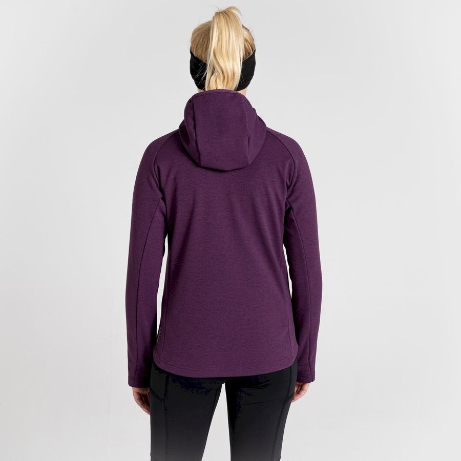 Deep Purple Craghoppers Dynamic Pro Hooded Women's Sweaters | BJQ2485WV