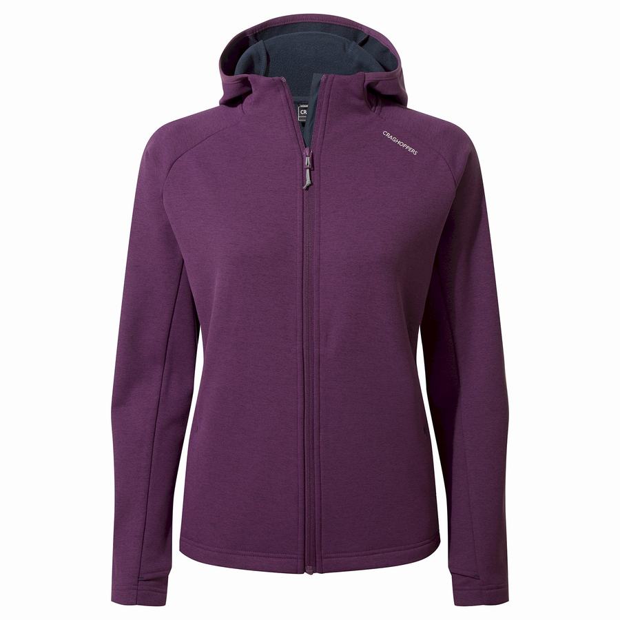 Deep Purple Craghoppers Dynamic Pro Hooded Women\'s Sweaters | BJQ2485WV