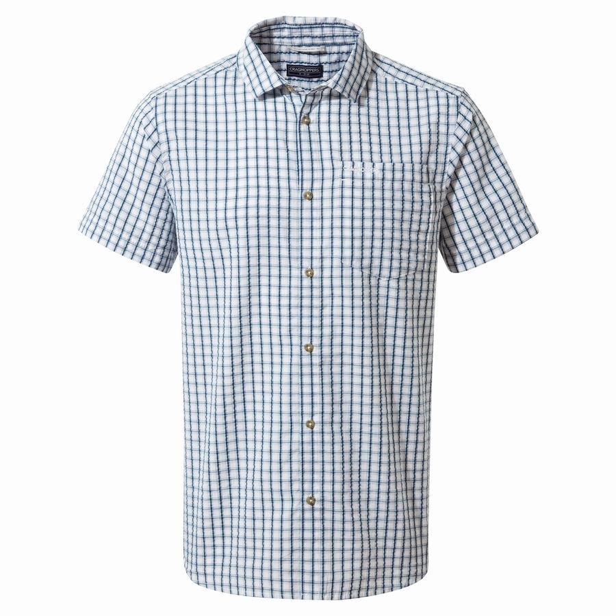 Green Craghoppers Dawson Short Sleeved Men's Shirts | UDG6080KX