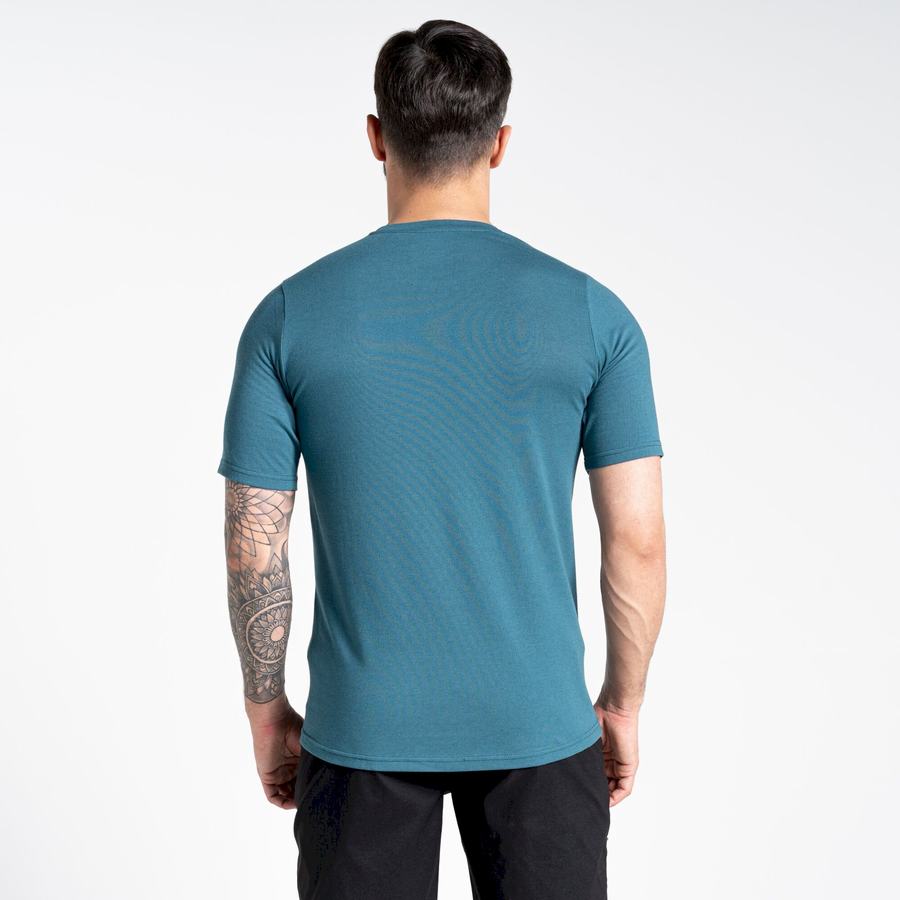 Green Craghoppers Dynamic Short Sleeved Men's T-Shirts | BDA9764WI