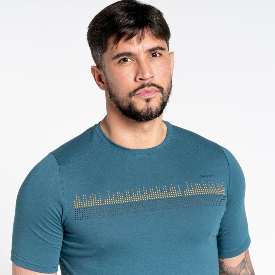 Green Craghoppers Dynamic Short Sleeved Men's T-Shirts | BDA9764WI