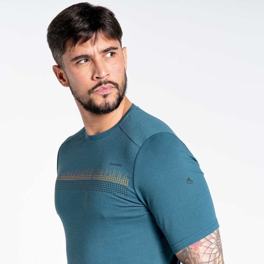 Green Craghoppers Dynamic Short Sleeved Men's T-Shirts | BDA9764WI