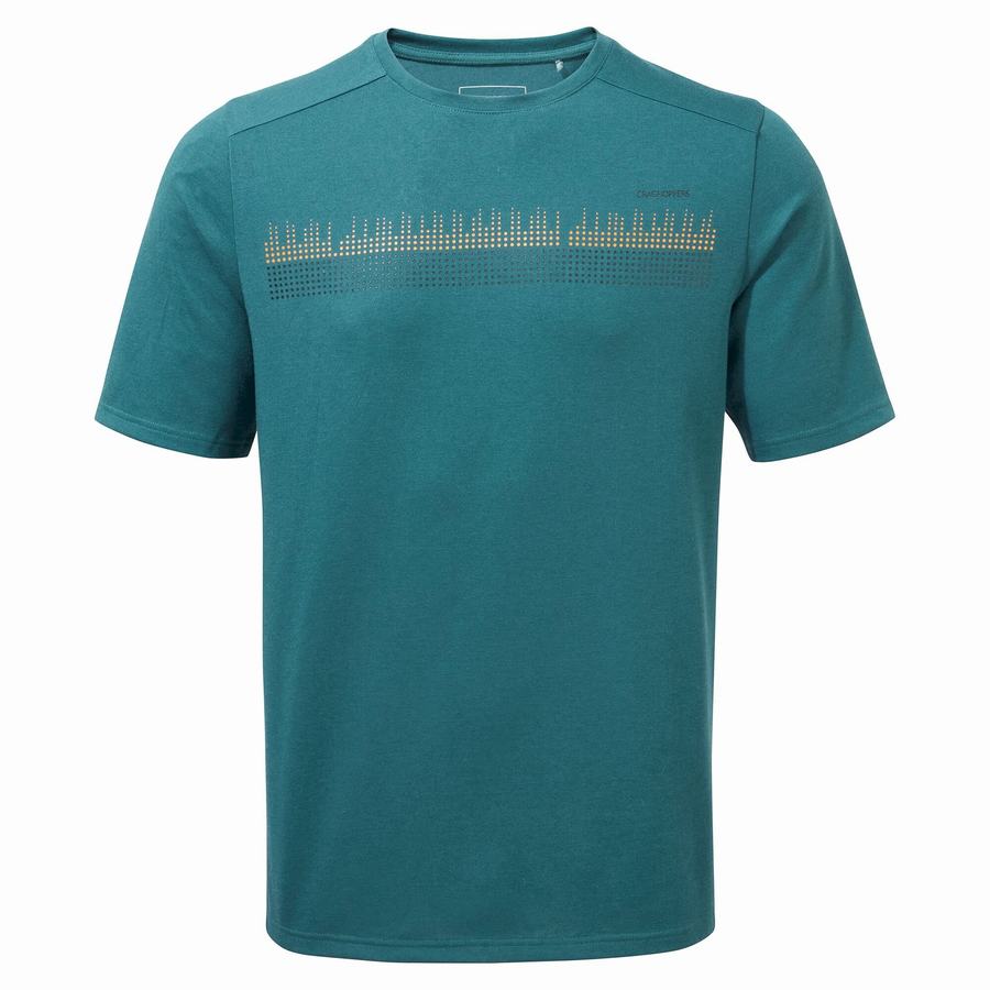 Green Craghoppers Dynamic Short Sleeved Men's T-Shirts | BDA9764WI