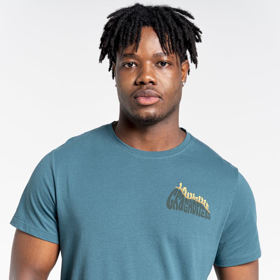 Green Craghoppers Lugo Short Sleeved Men's T-Shirts | DAS3198WH