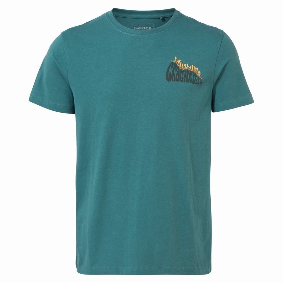 Green Craghoppers Lugo Short Sleeved Men's T-Shirts | DAS3198WH