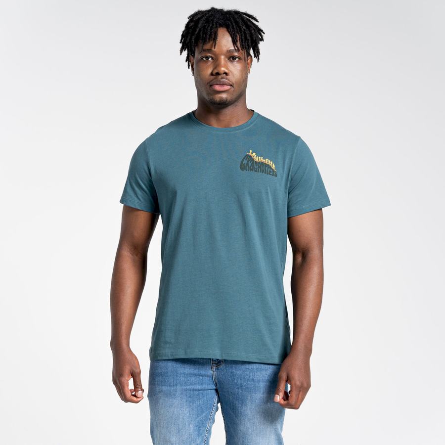 Green Craghoppers Lugo Short Sleeved Men's T-Shirts | DAS3198WH