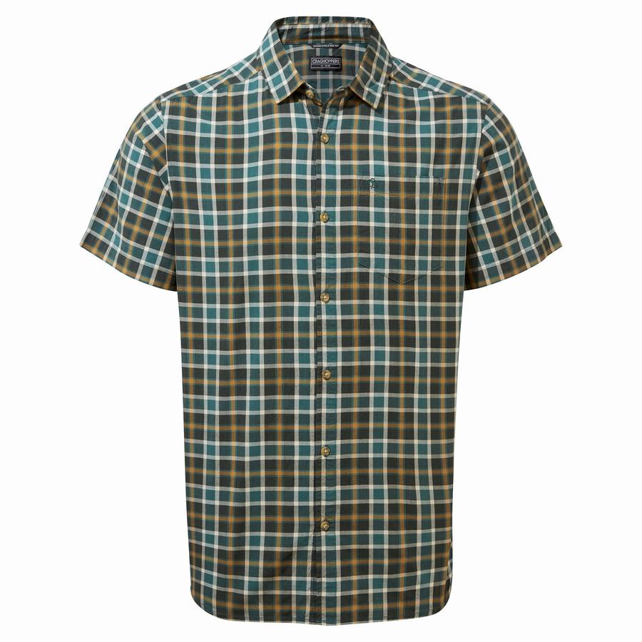 Green Craghoppers Menlo Short Sleeved Men's Shirts | DXV9186TD