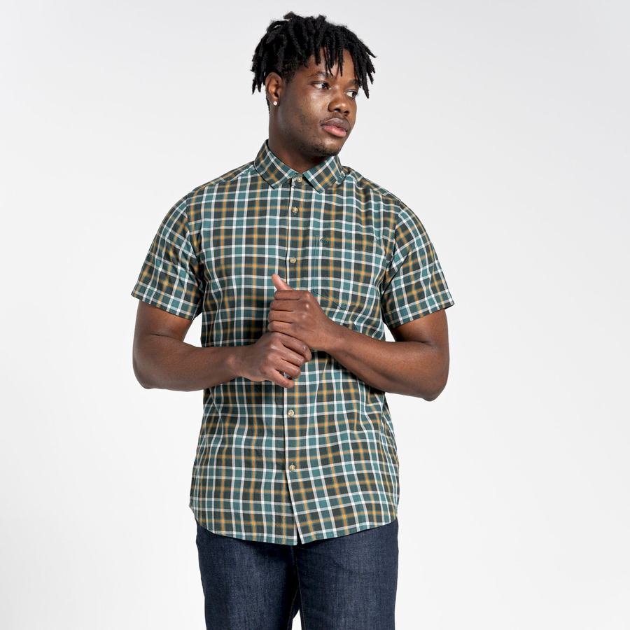 Green Craghoppers Menlo Short Sleeved Men's Shirts | DXV9186TD