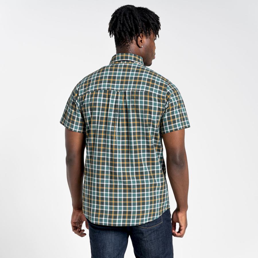 Green Craghoppers Menlo Short Sleeved Men's Shirts | DXV9186TD