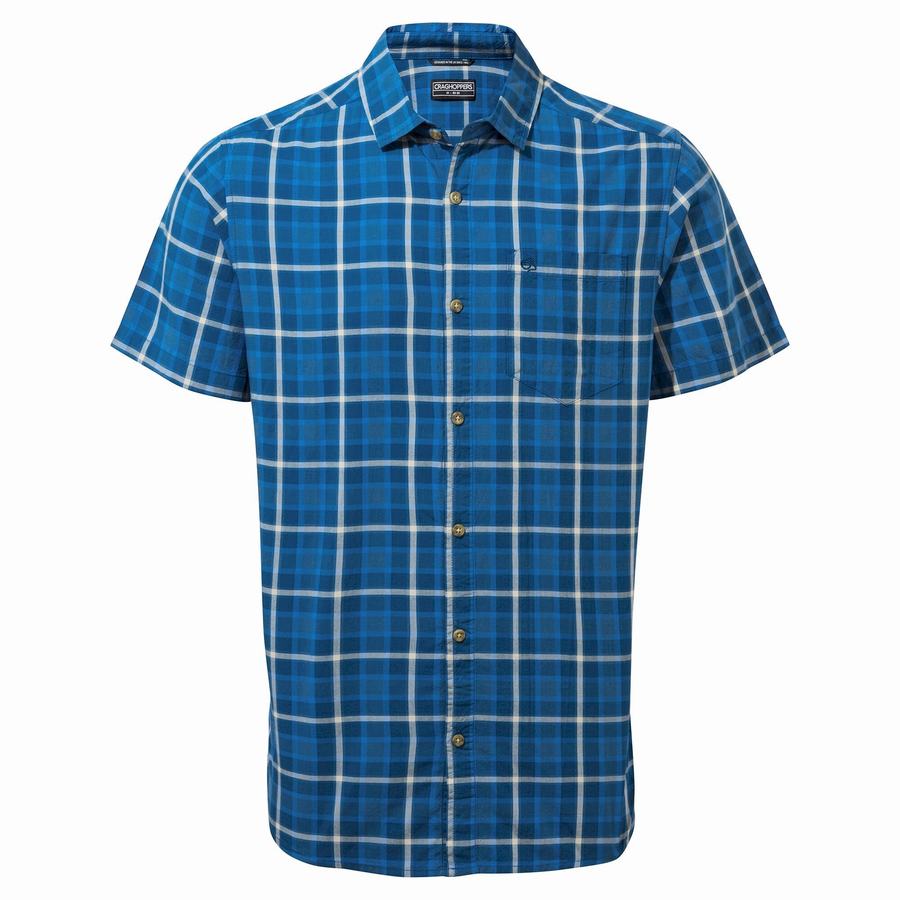 Green Craghoppers Menlo Short Sleeved Men's Shirts | EJP7226VY