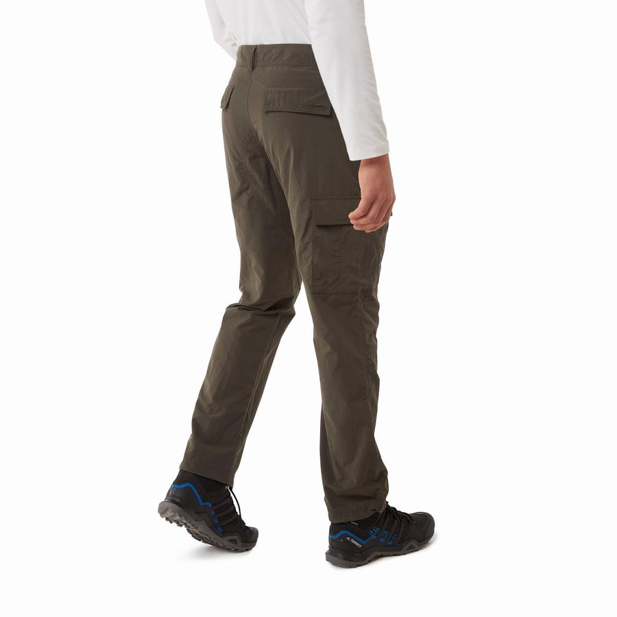 Green Craghoppers NosiLife Branco Men's Trousers | FRK2647ZA