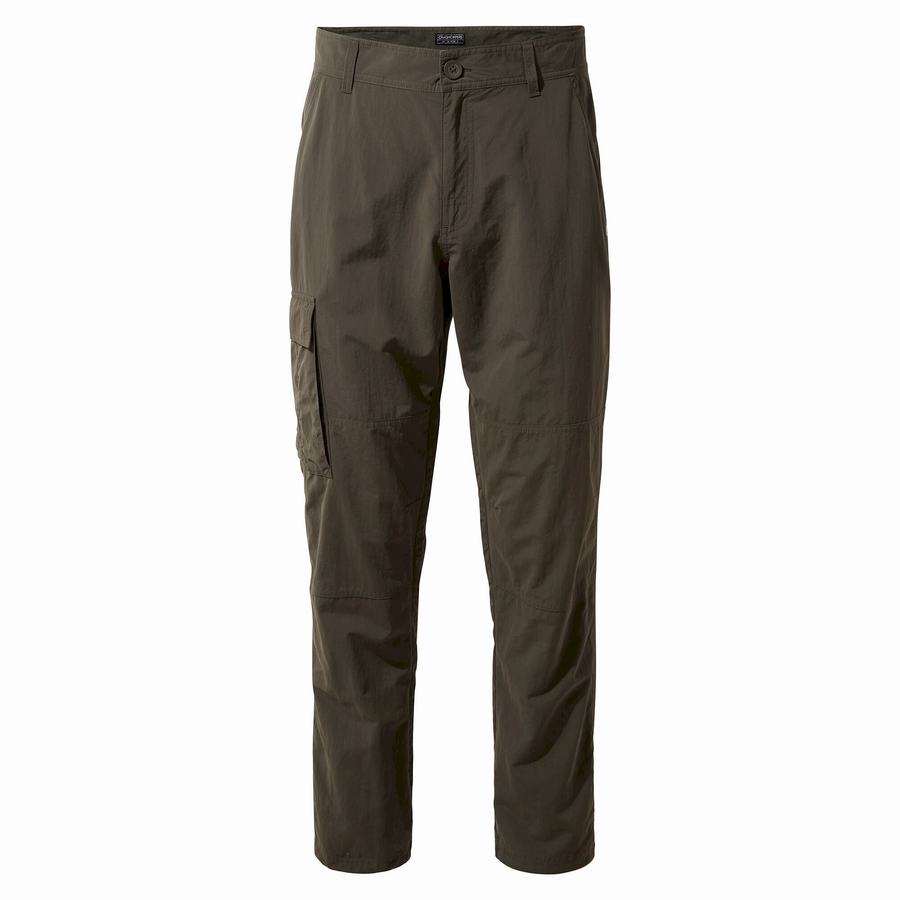 Green Craghoppers NosiLife Branco Men's Trousers | FRK2647ZA